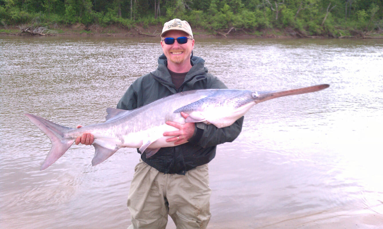 man wearing sunglasses and a green jacket and tan hat holding a large paddlefish near the Arkansas River, Oklahoma