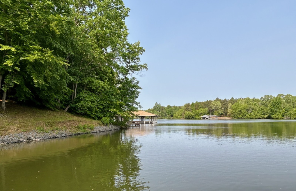 View of Lake Anna from shore, Springtime