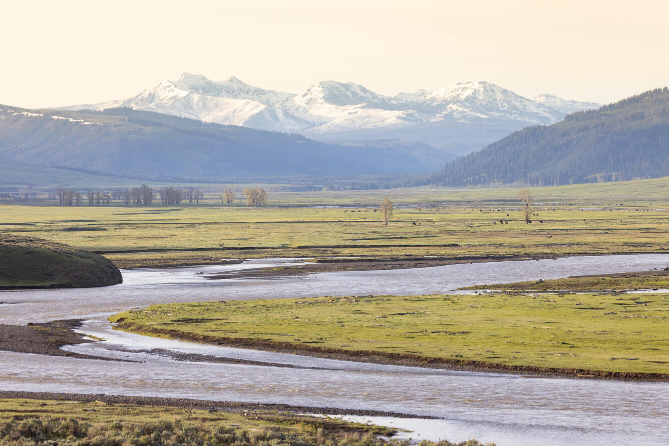 Image: The Lamar River flows through the Lamar Valley in Yellowstone National Park