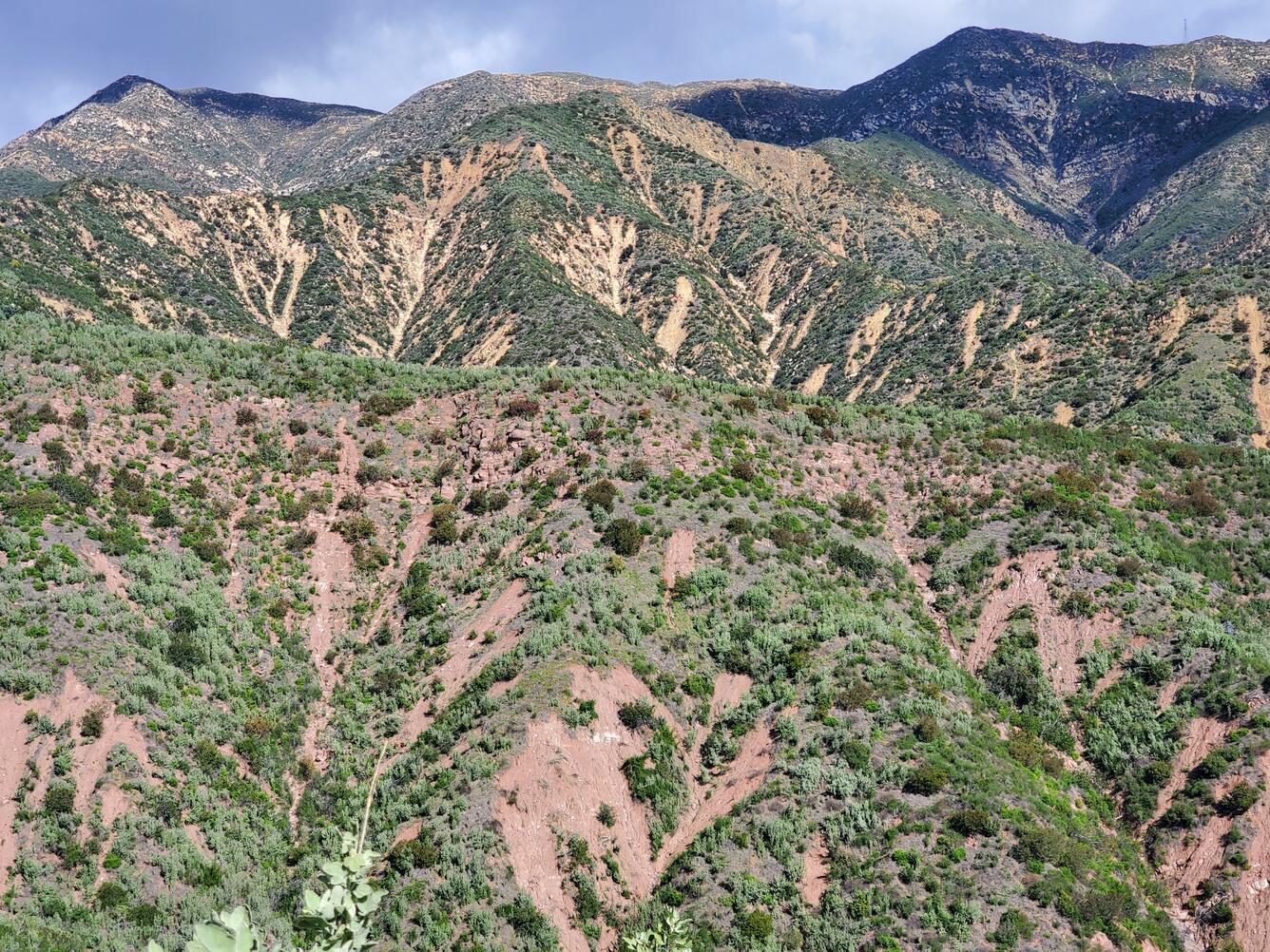 Steep mountains with shrubs, grasses, and mud