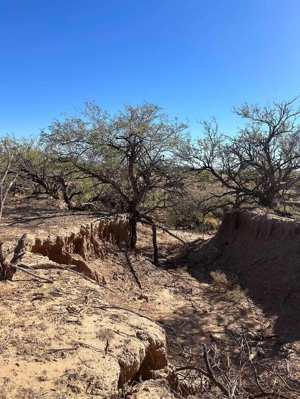 Figure 2. Photographs around the Santa Margarita Ranch including, a) USGS scientists investigating vertical-walled crack from degraded earthen berm; b) vibrant desert landscape featuring a "carpet" of golden Mexican Gold Poppies and purple Coulter's Lupine blooming among rocky soil and sparse vegetation; c) incising narrow, eroded gully or wash cutting through a dry, hilly landscape, and; d) desert arroyo (also known as a dry wash), characterized by a deep, eroded gully carved into the sandy, arid soil, wit