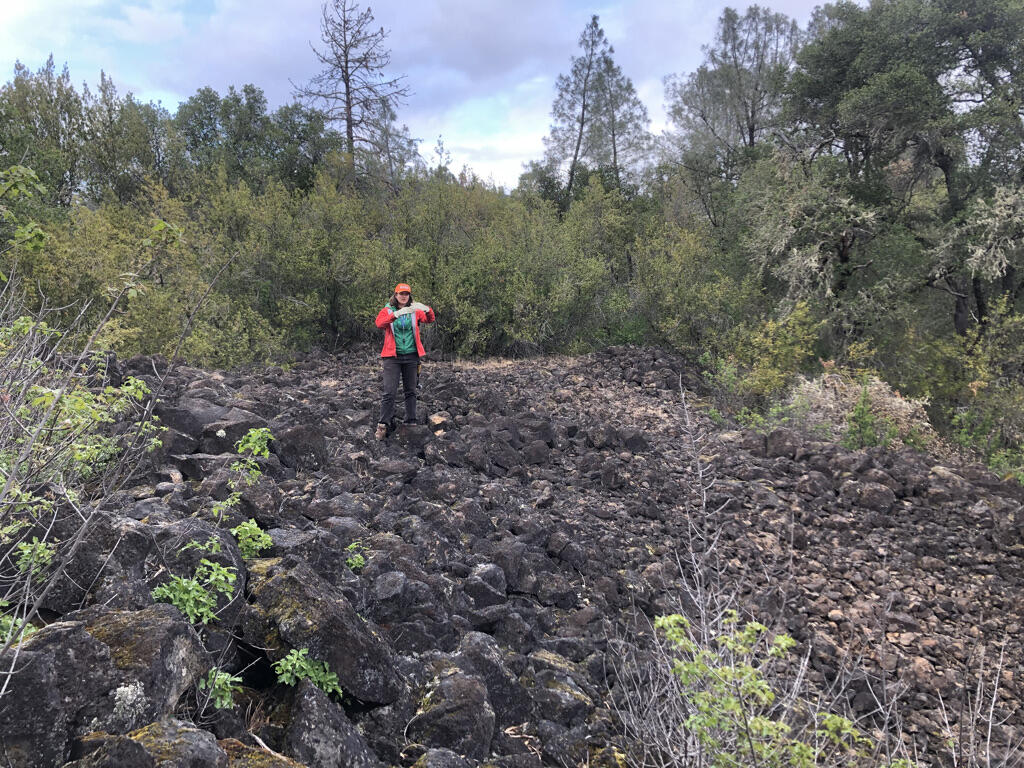 A woman geologist stands on the rubbly black surface of a lava flow exposed in the middle of the woods