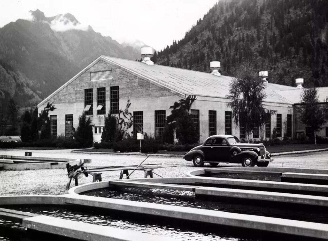 Leavenworth National Fish Hatchery is shown in 1947 with concrete containment ponds in the foreground and mountains in the background