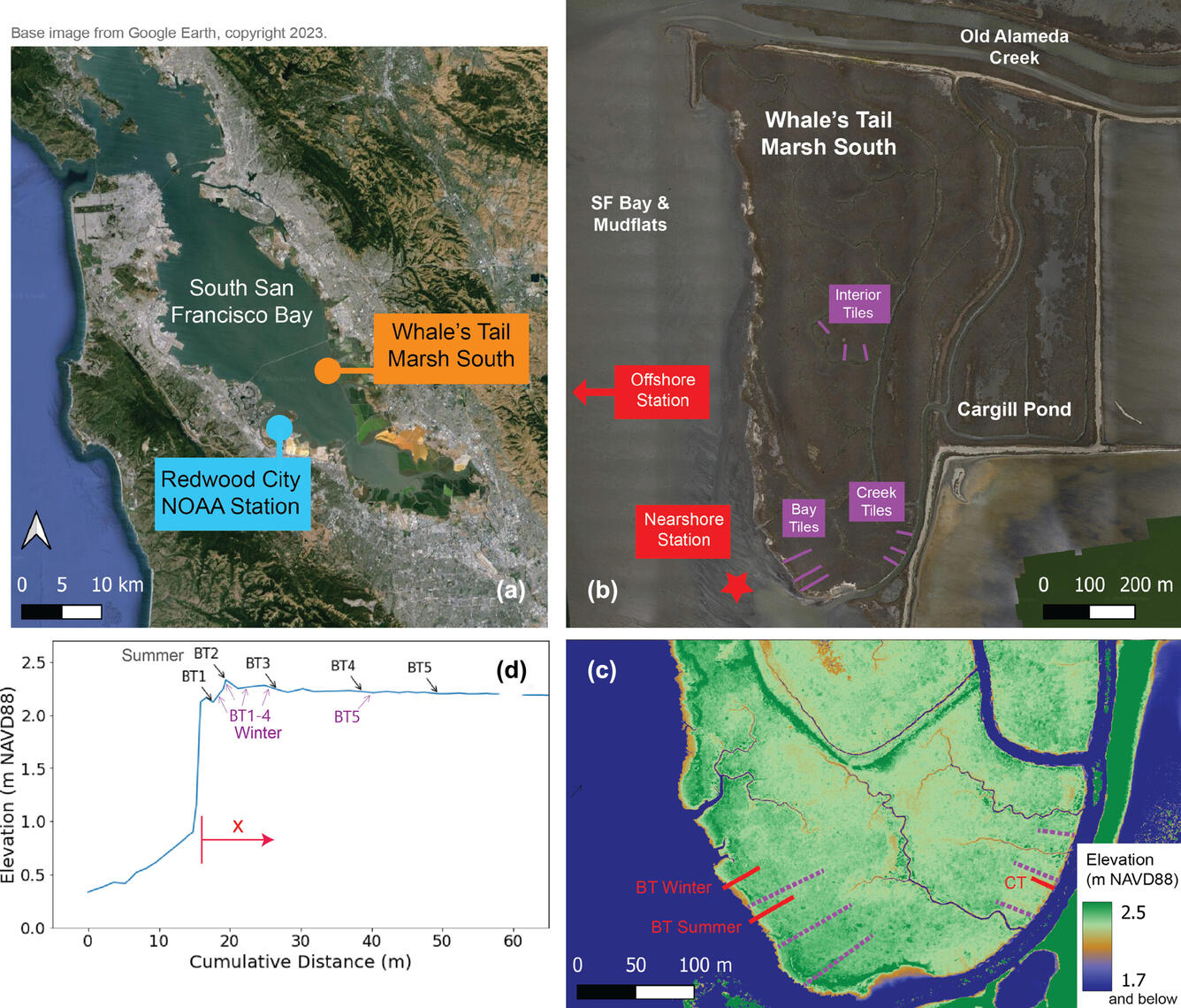 Figure showing locations of the Whales Tail marsh complex and nearby tide gauge within south San Francisco Bay