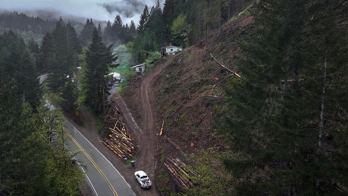 Aerial view of road, stacked logs, truck, forest