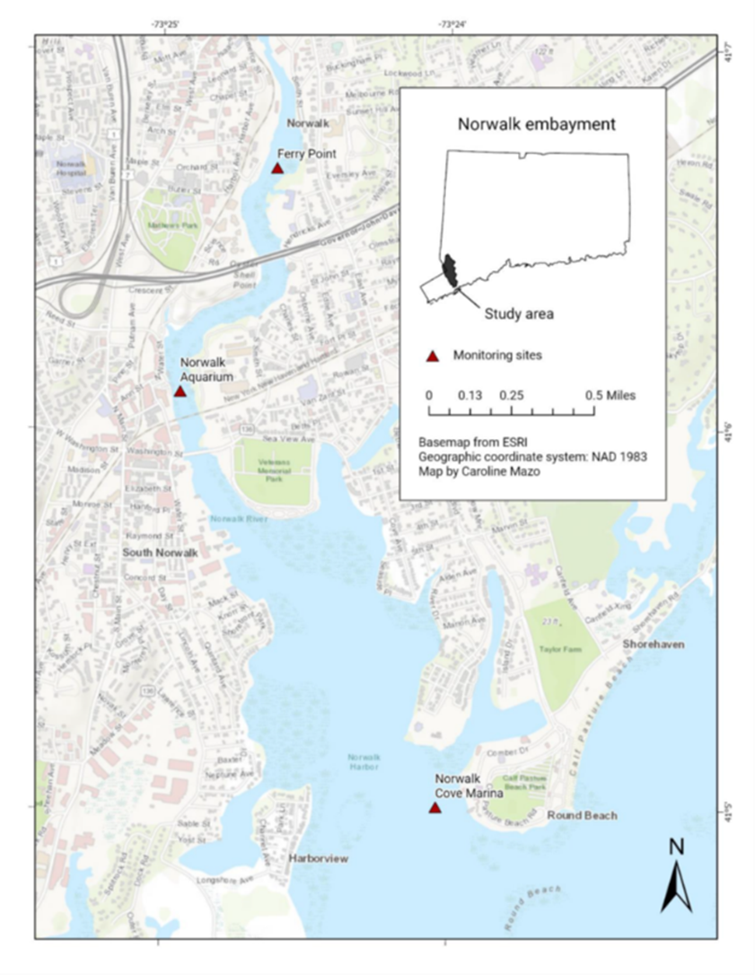A map of sampling sites on the lower Norwalk River.