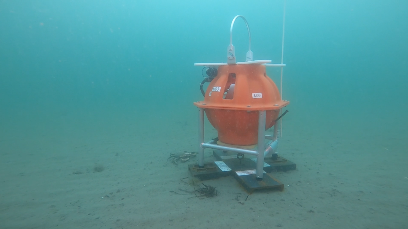 seafloor obs