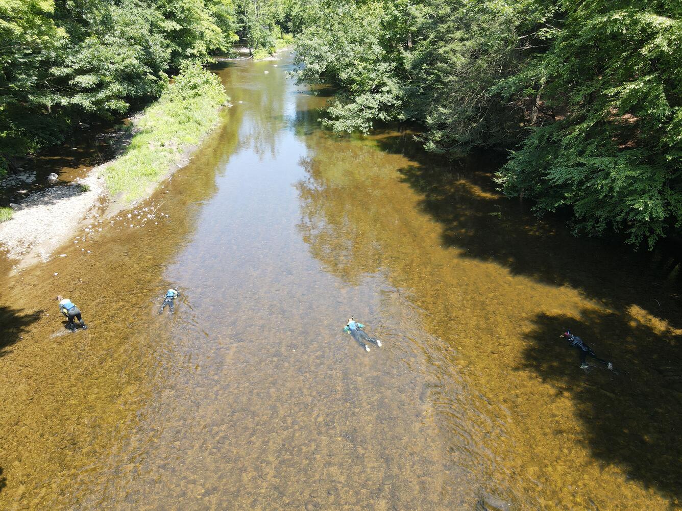 Researchers perform a mussel survey 