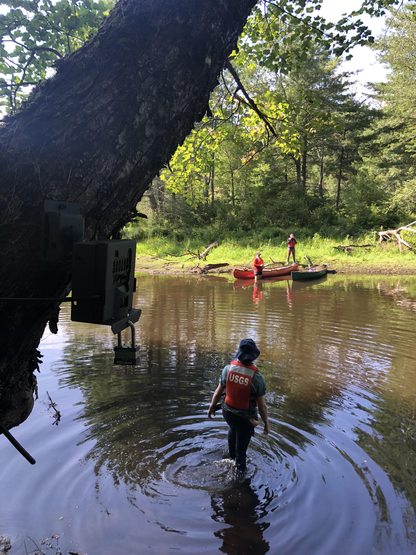 Researchers with the Massachusetts Cooperative Fish and Wildlife Research Unit set trail cameras. 