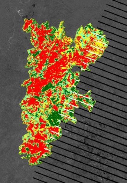Red, yellow, and green across a satellite image. Indicates severity of burns from a fire.