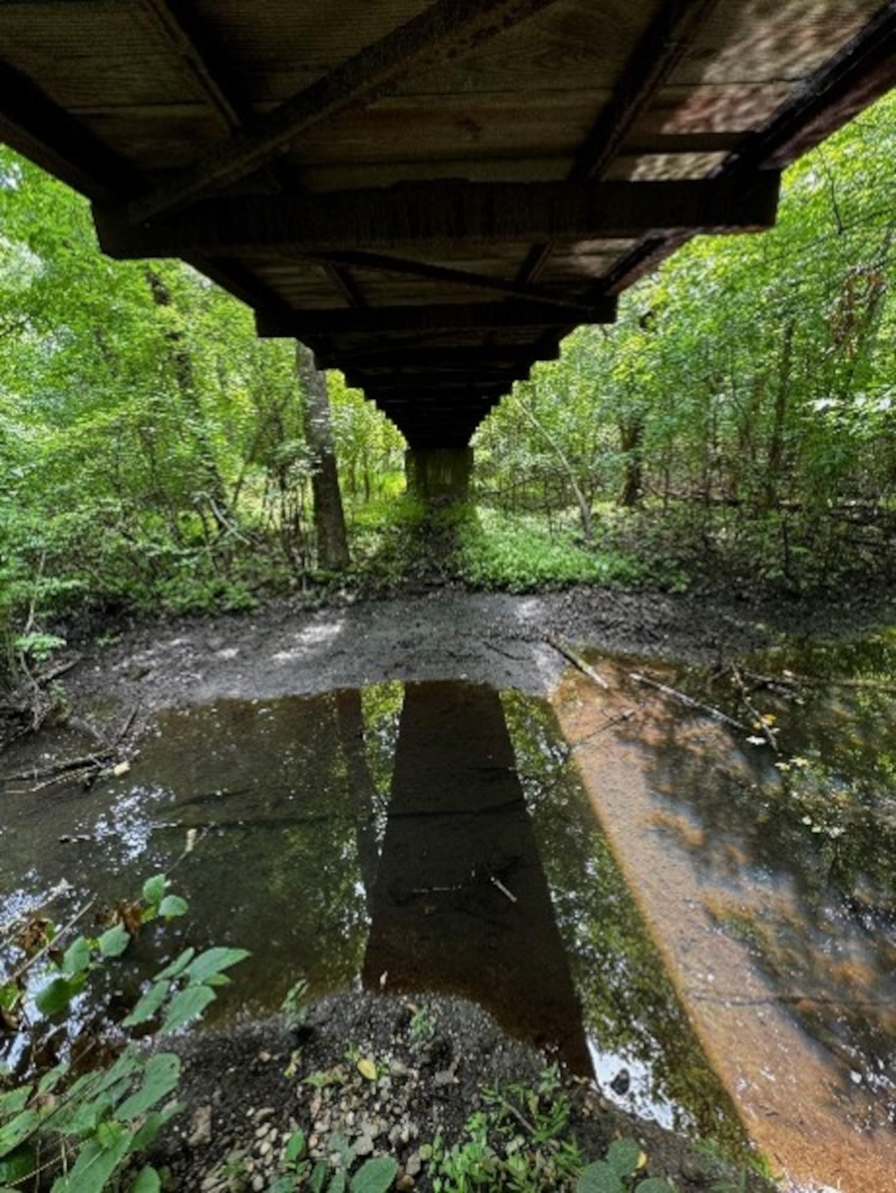 Looking at a small stream flowing over a riffle under a bridge