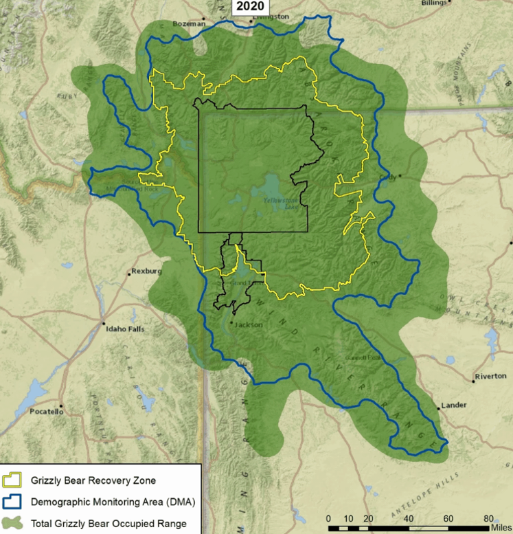 Map of grizzly bear range expansion in Greater Yellow Ecosystem: 2020