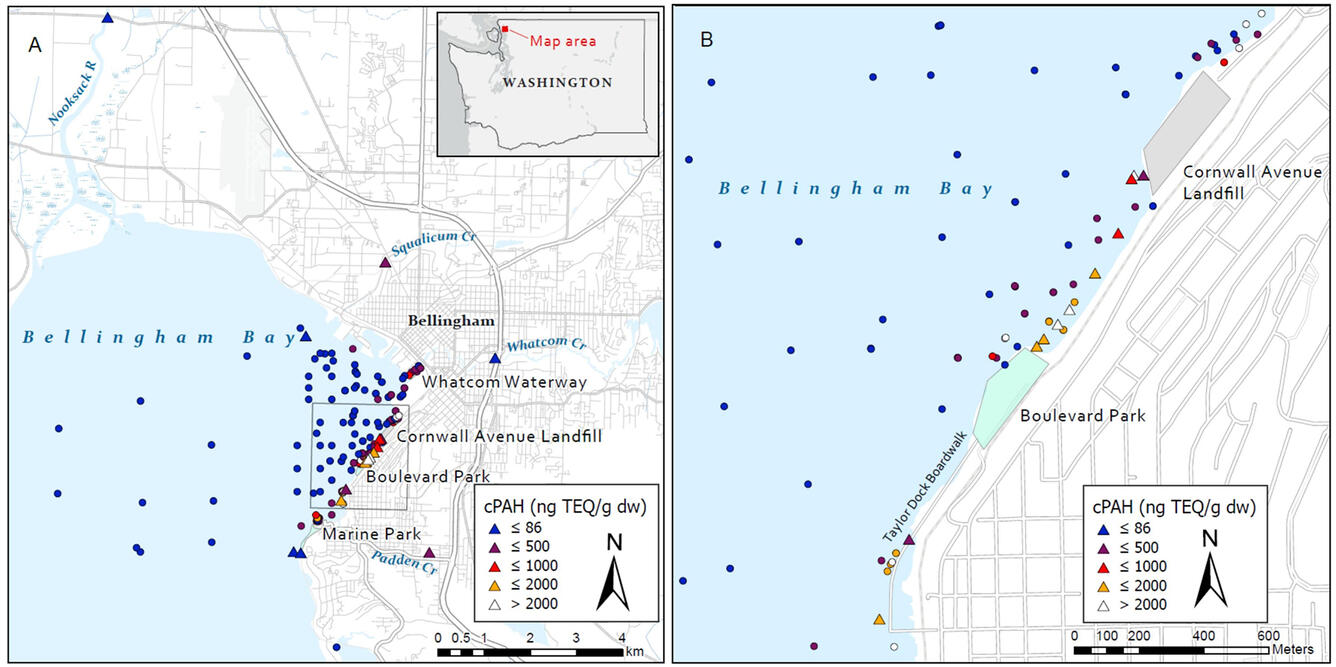 Map of Bellingham Bay contaminant study area