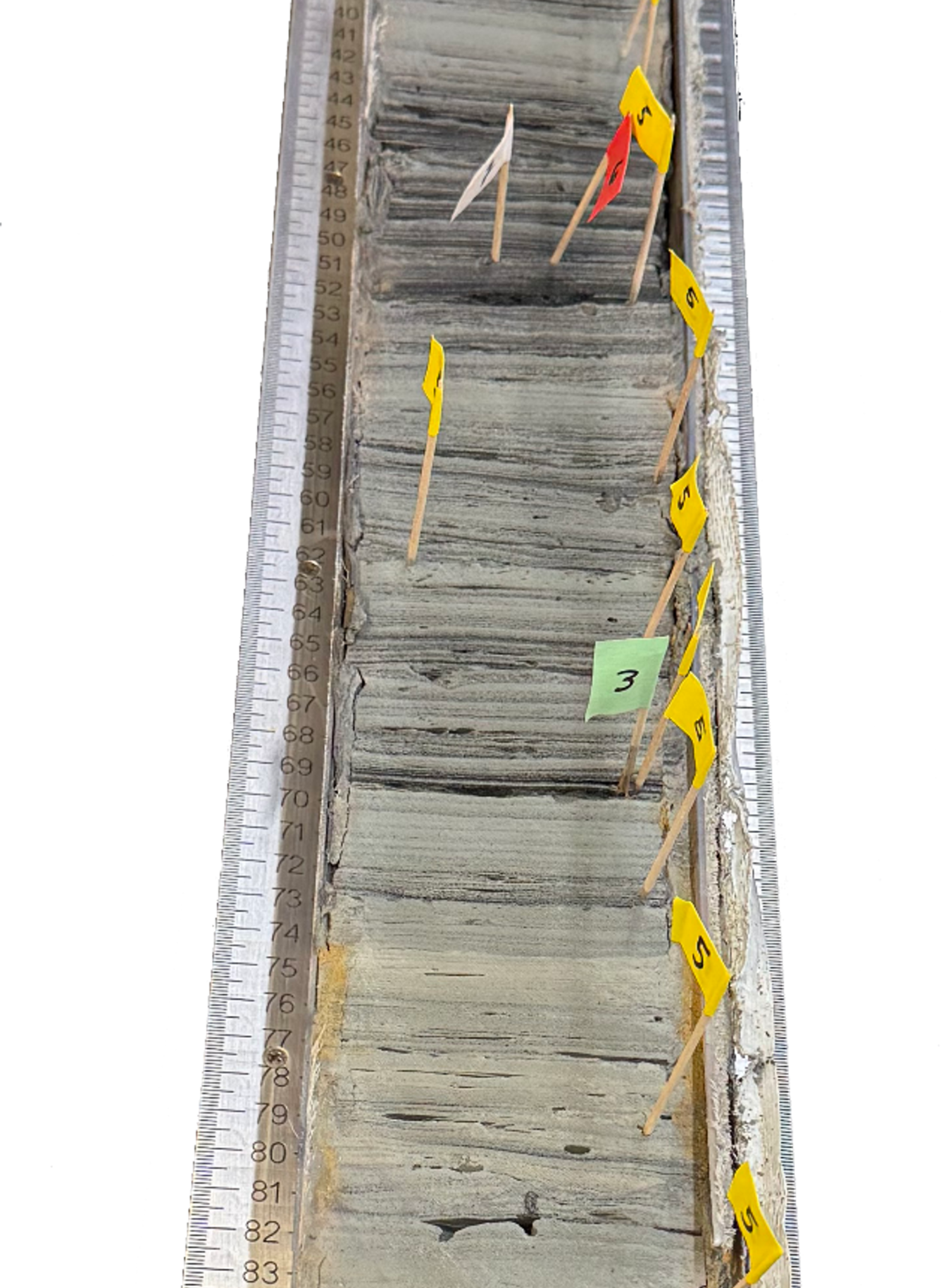 A section of a sediment core collected near the Amazon River in Brazil