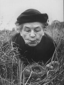 A black-and-white photo of a woman with hat lying flat in grass to study nest of baby field sparrows