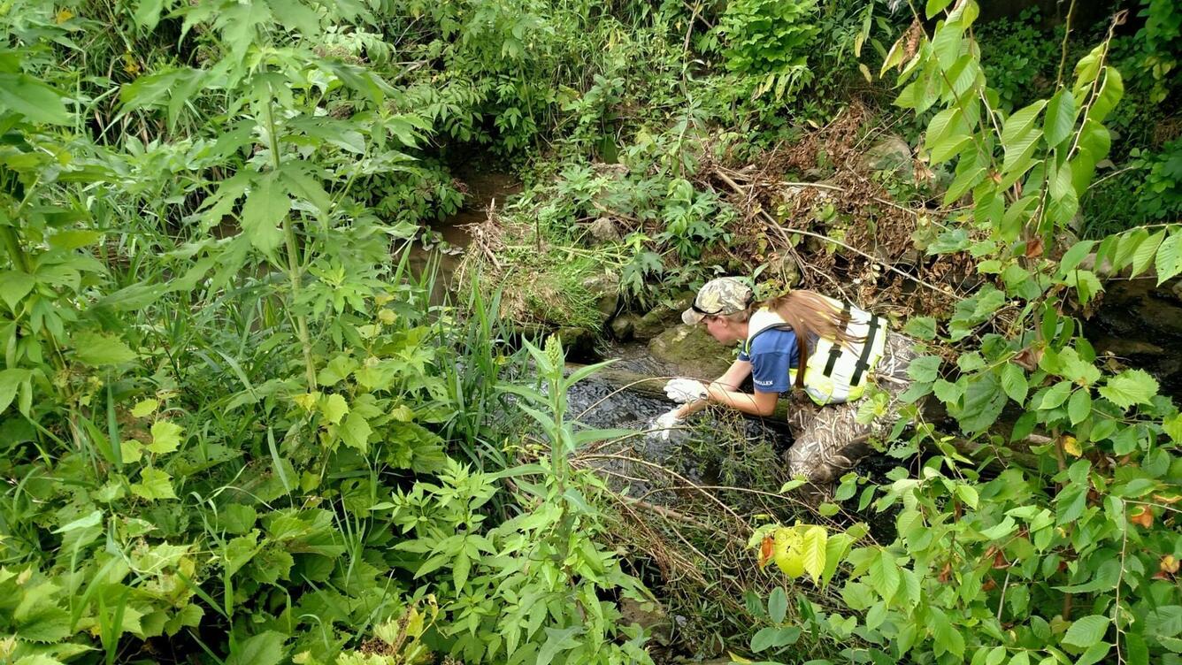 Kendra Markland collects a surface water sample in West Branch, Iowa. Summer 2016.