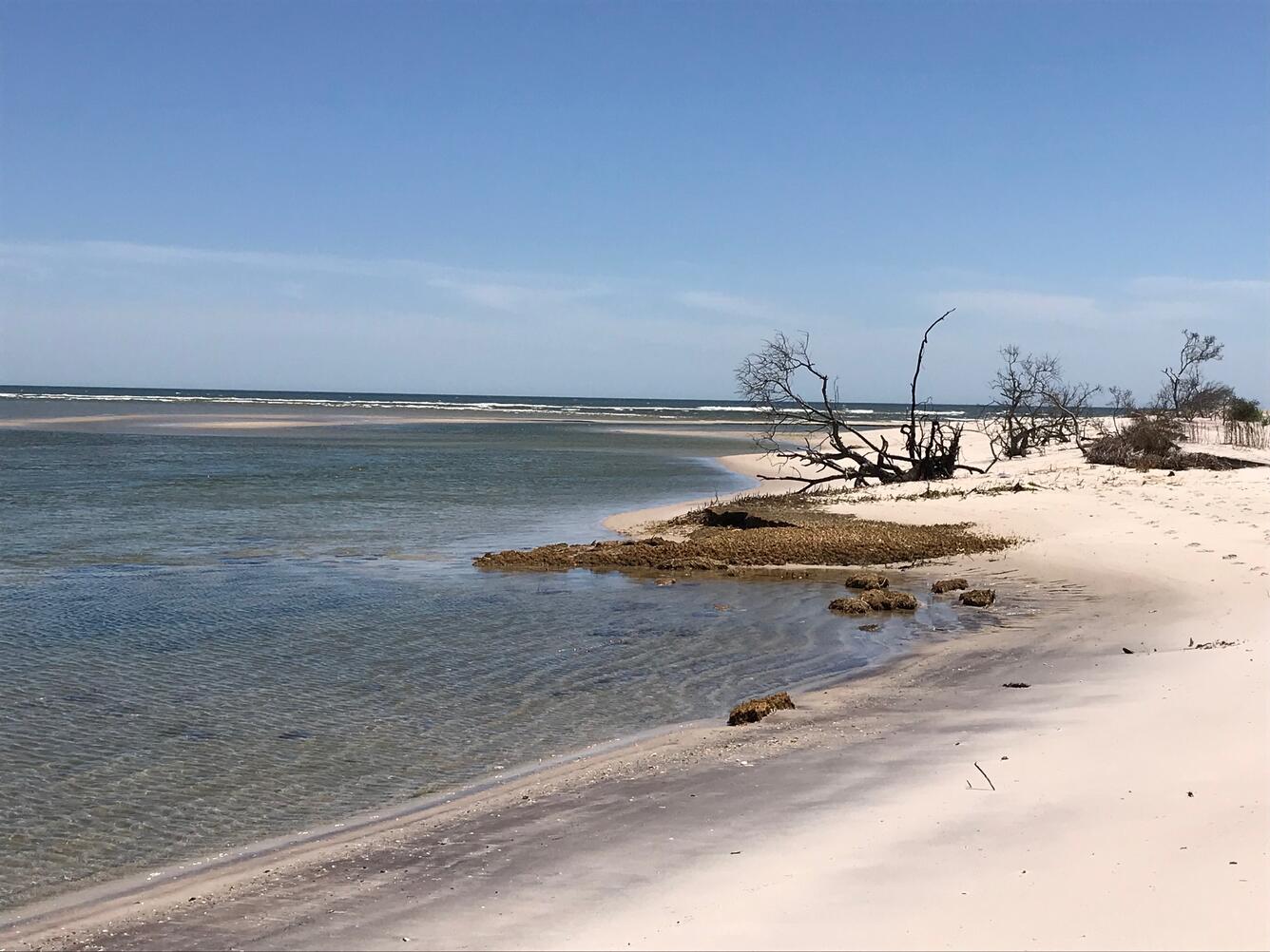 Wilderness Inlet, Fire Island, NY
