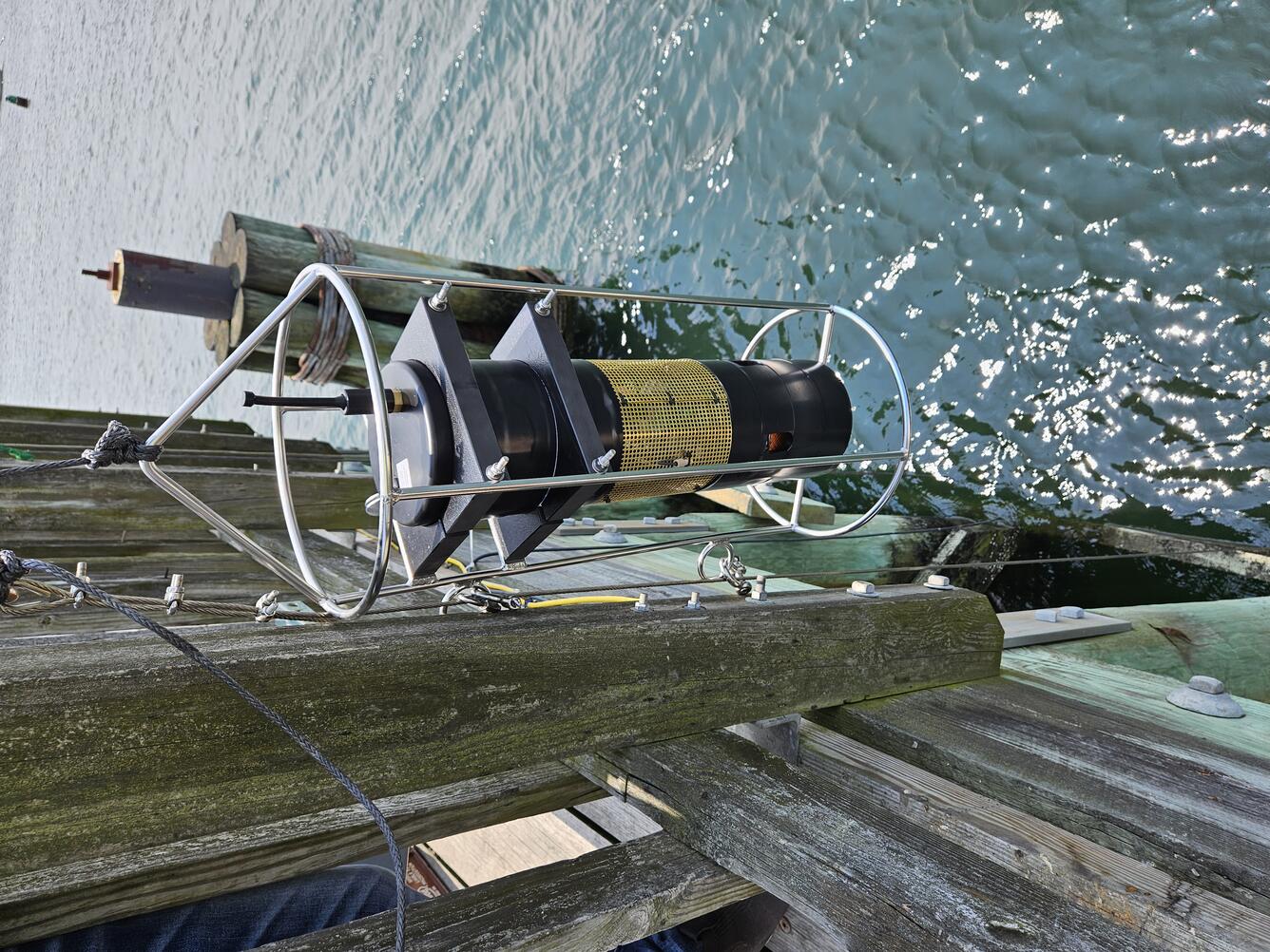 Dropping a sensor into water from a dock.
