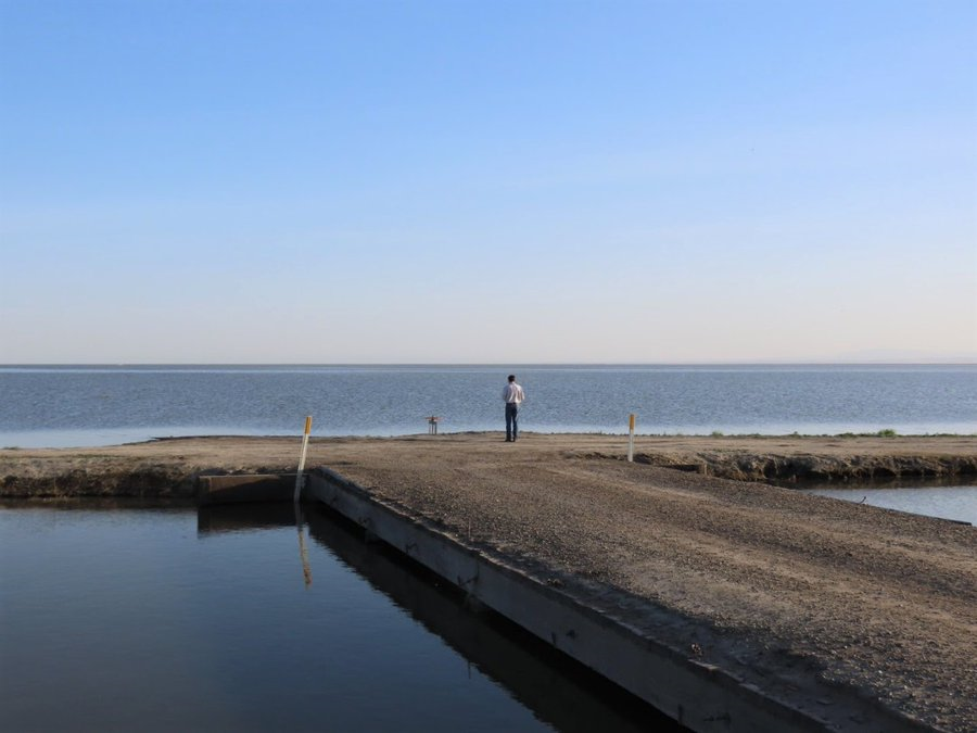 Man standing with back toward camera looking at body of water