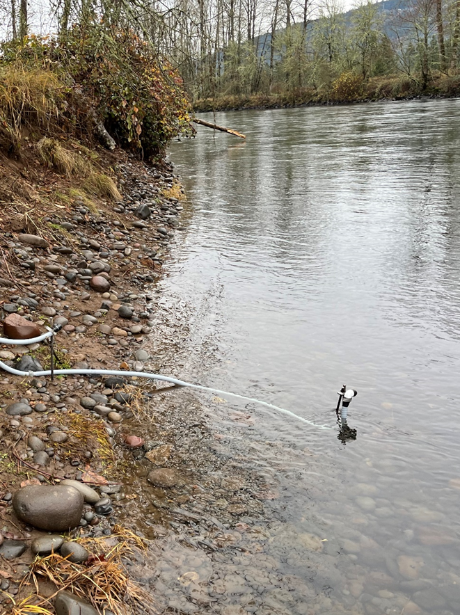 grey flex tube bolted into the river bank leads down into the water where the hydrophone records