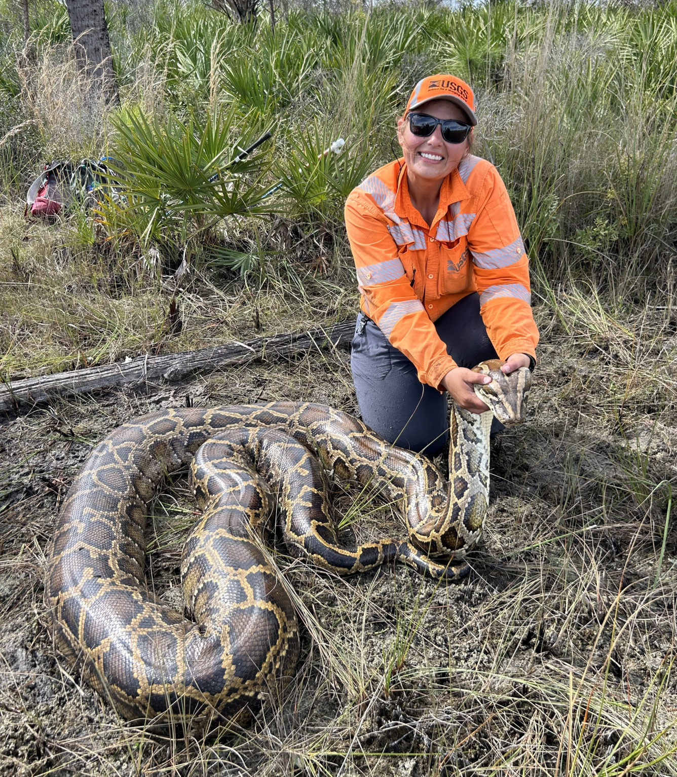 a woman holds a large burmese python