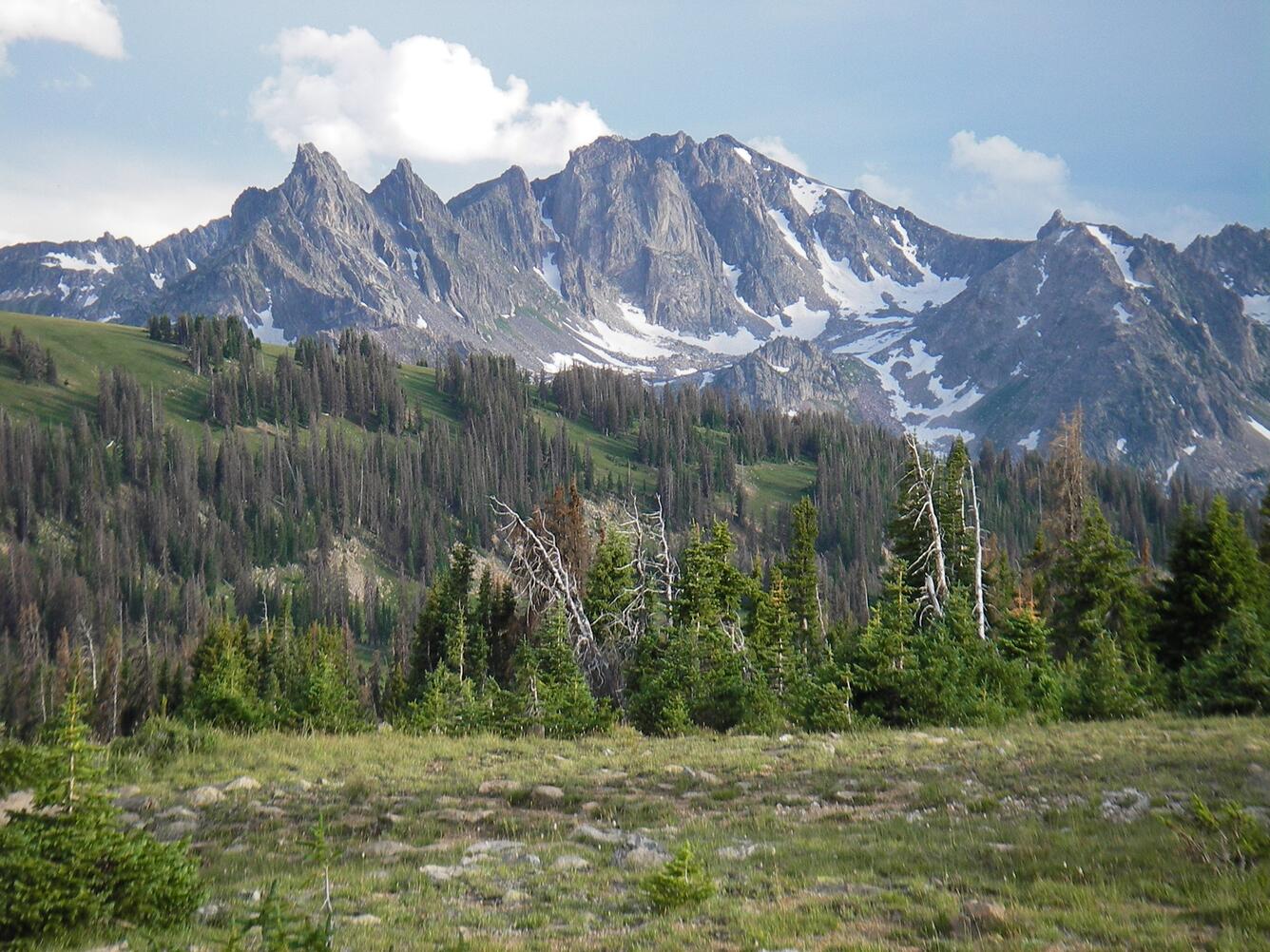 Image shows a mountain with forest in the foreground