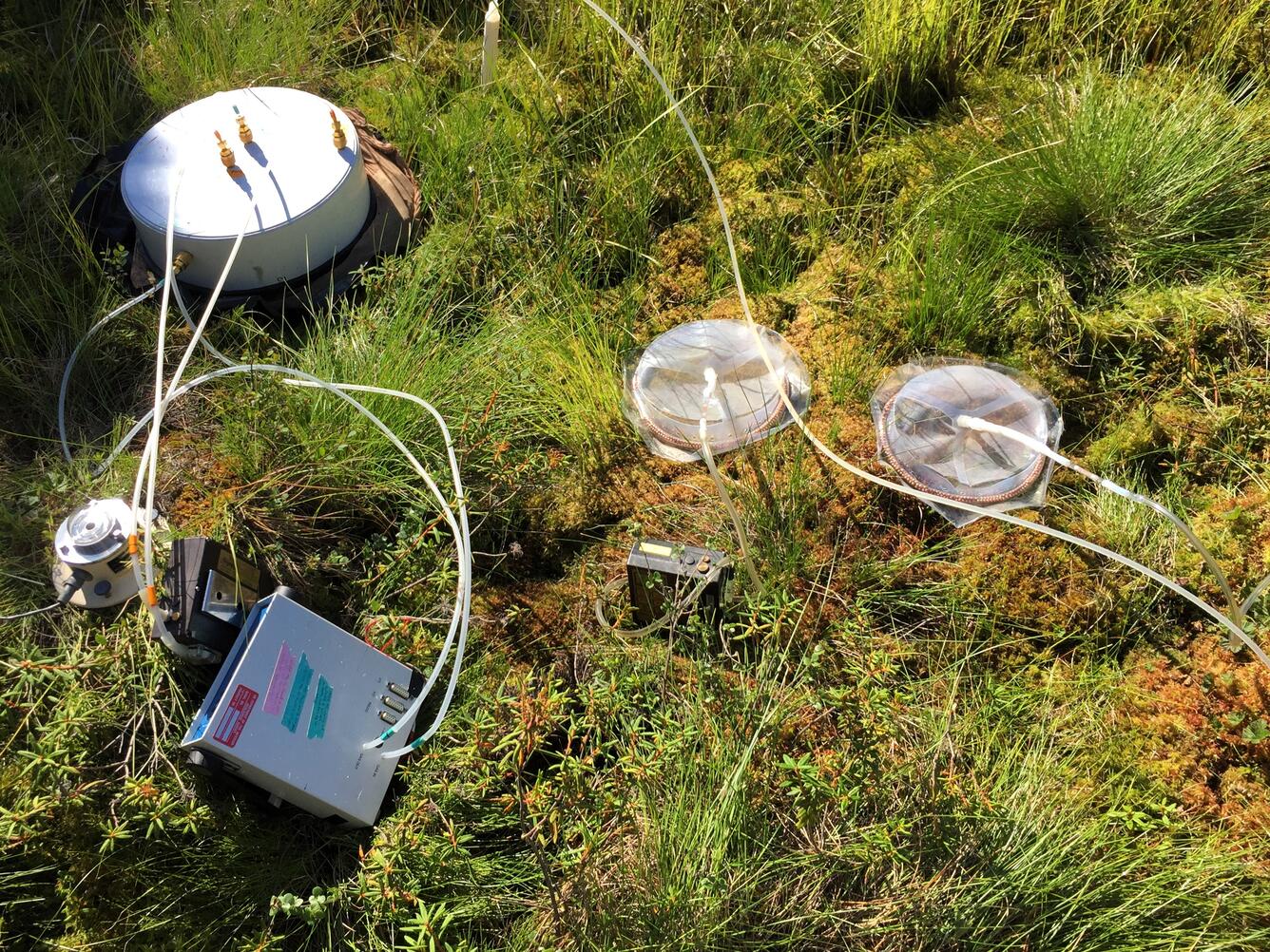 Scientific sampling equipment laying in grassy field.