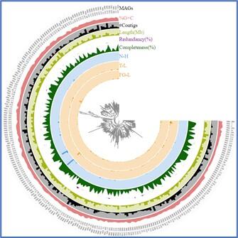 Metagenome sequence of high-sulfate coal seam to translate degradation strategies, SE MT.