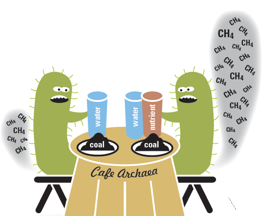 A graphic showing microbes consuming nutrients and releasing CH4, or methane. 