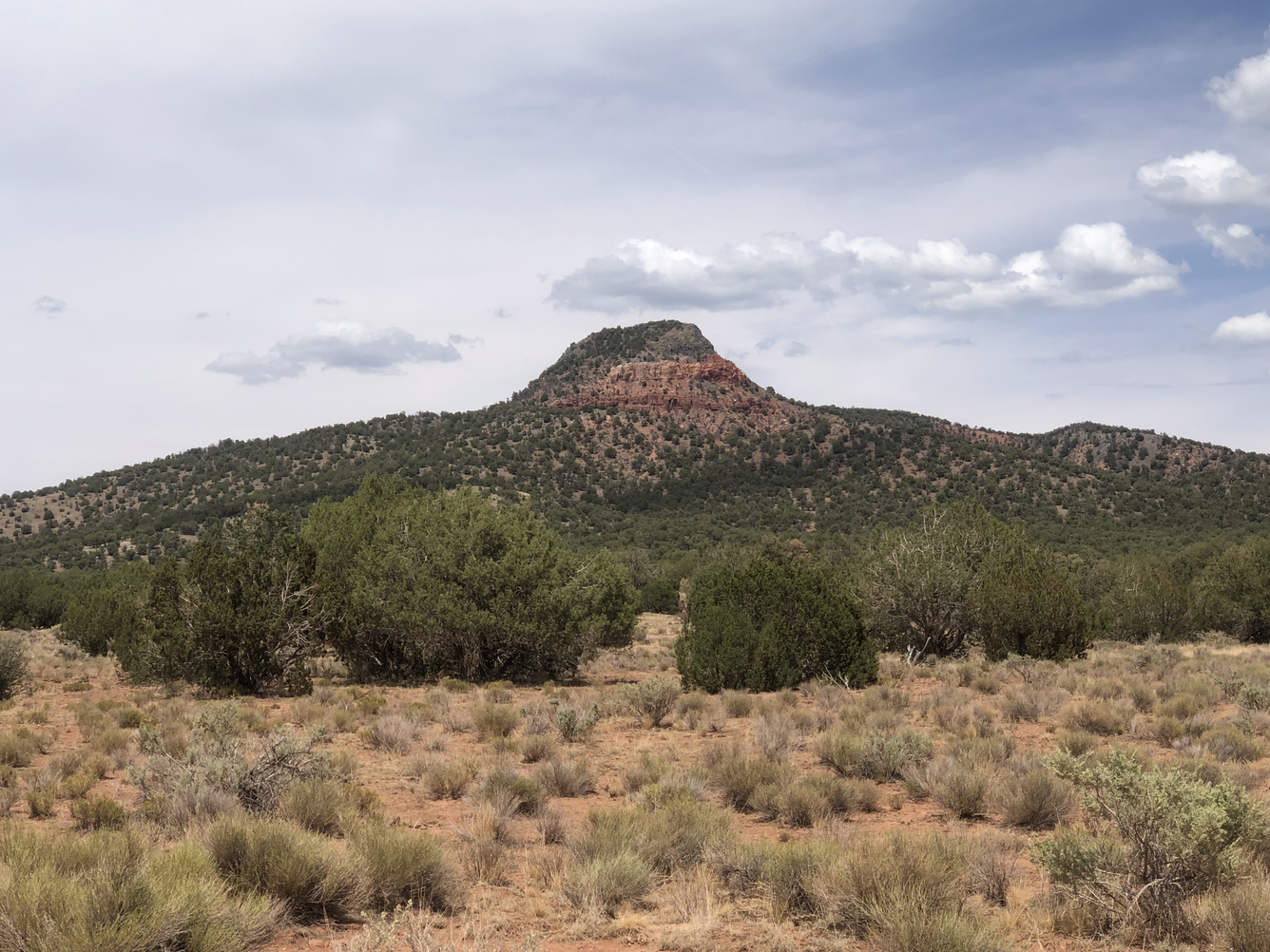 A butte dotted with scrubby trees reaches to the cloud-spotted sku