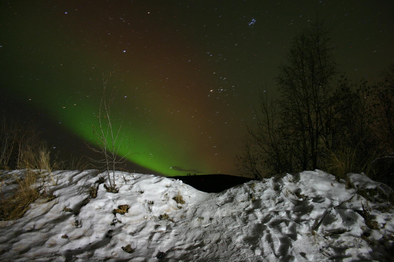 Northern lights and stars in sky with snowbank and trees in foreground