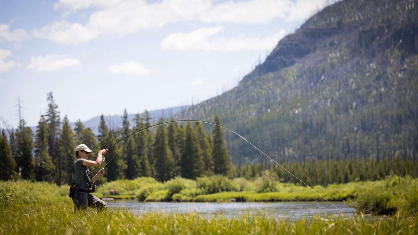 Graduate student fly fishing in Montana