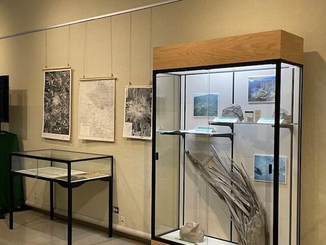 Mount St Helens Art Hallway 2025 - more display cases
