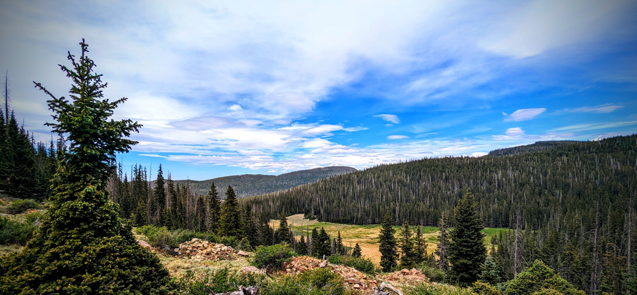 Mt. Baldy landscape, AZ
