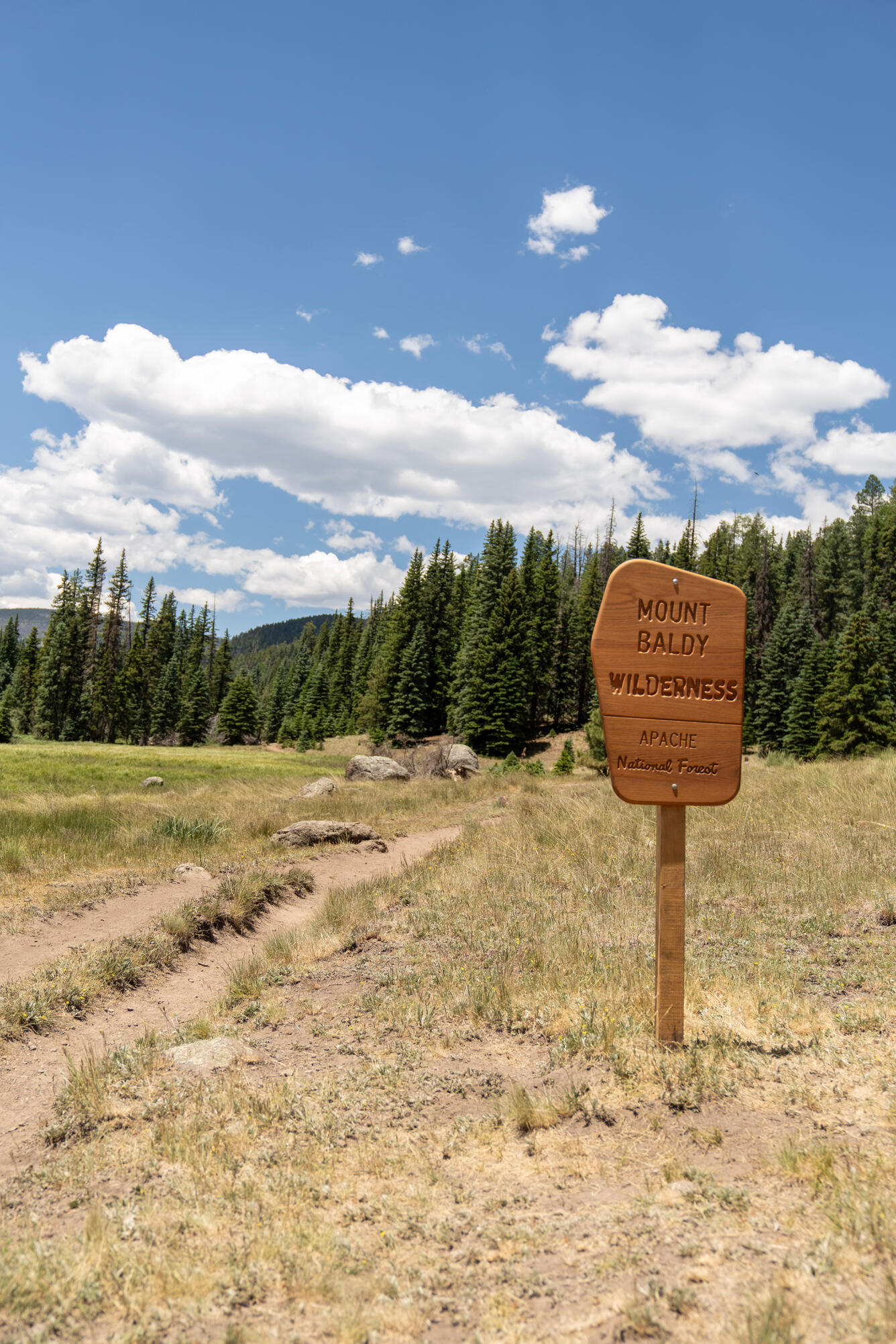 Mount Baldy Wilderness sign, AZ