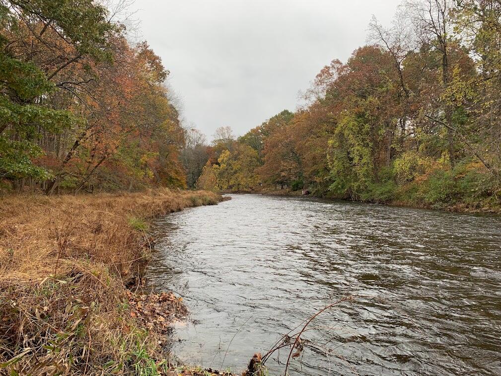 Looking upstream along a river with the fall grass banks along the left edge