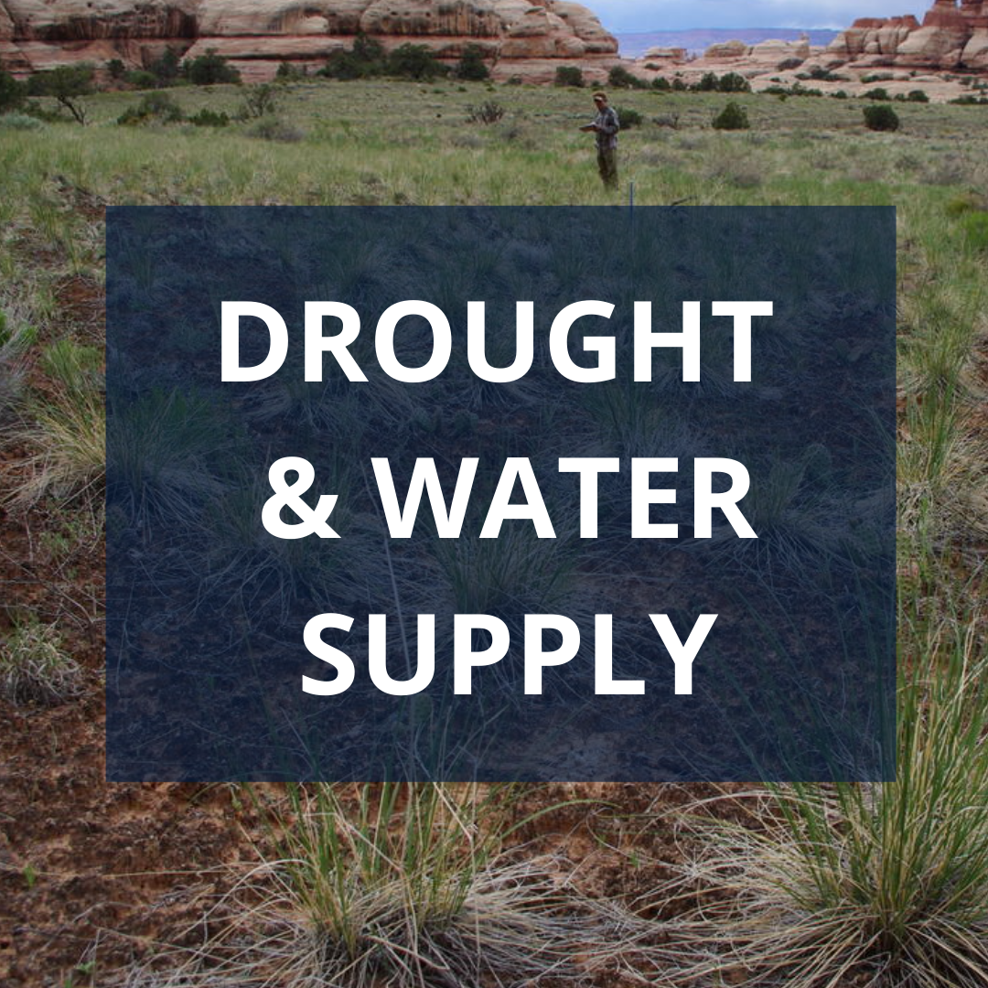 Drought and Water Supply: NCASC researches drought-related threats across the country.