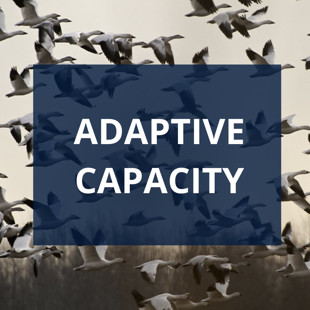 Adaptive Capacity