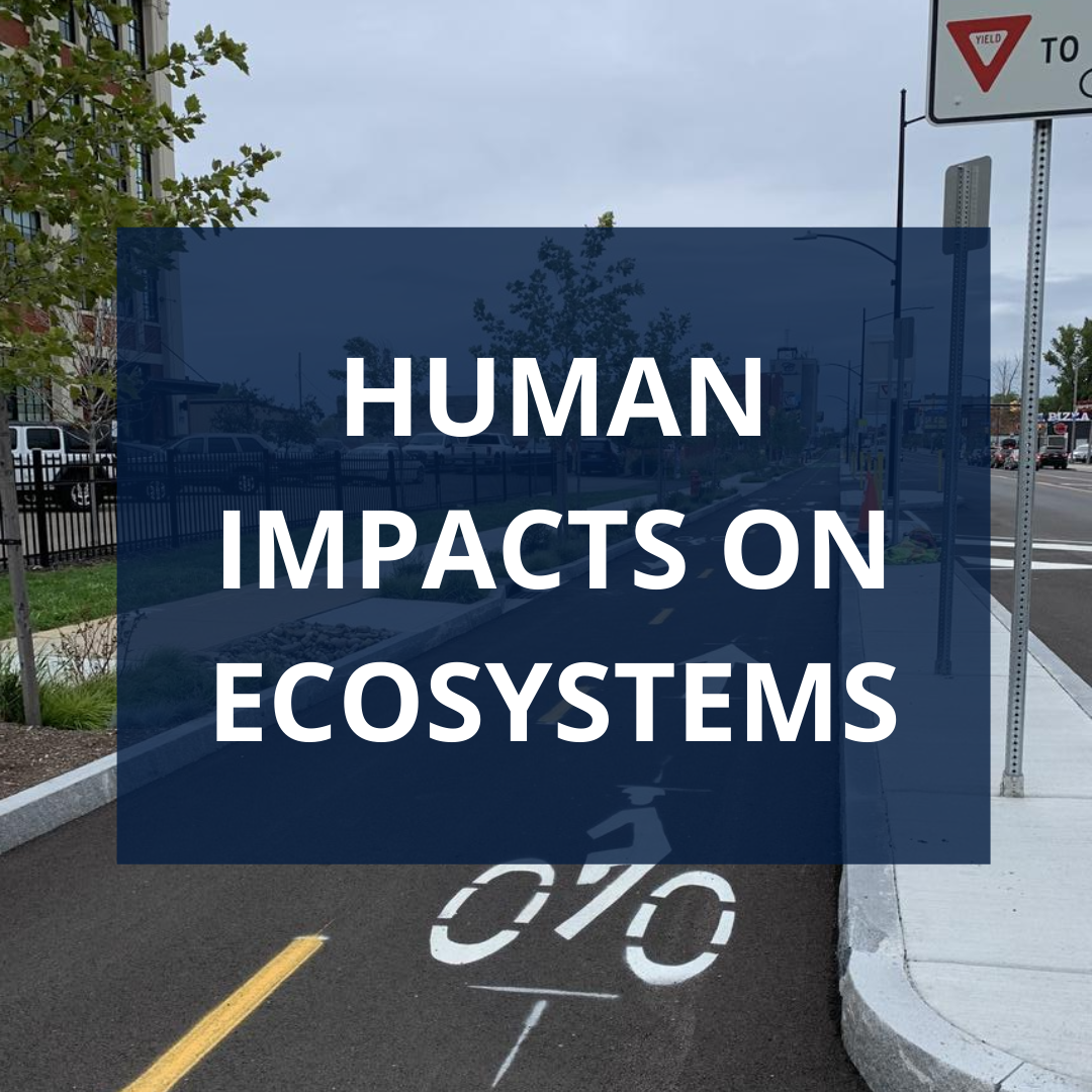 Human impacts on ecosystems