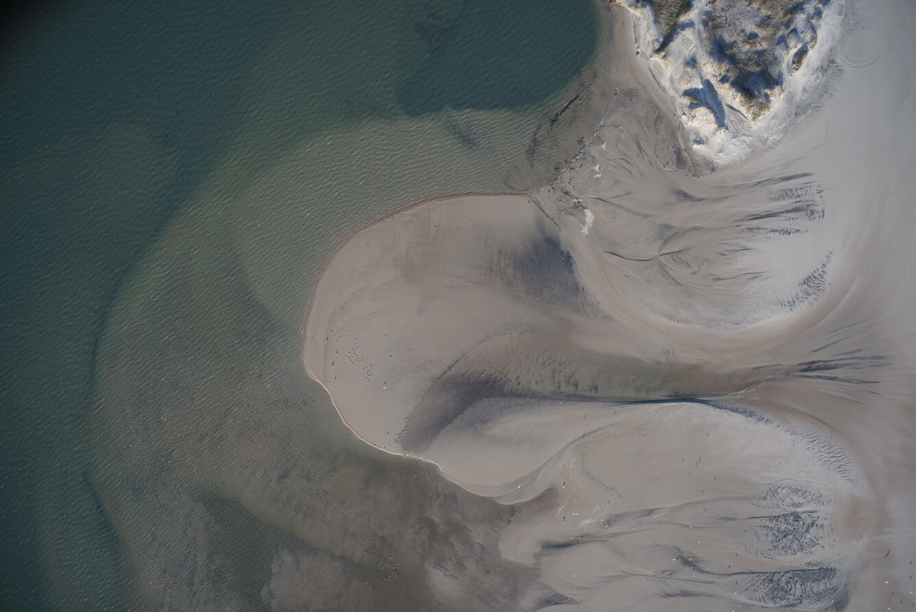 Aerial image of ocean and sand