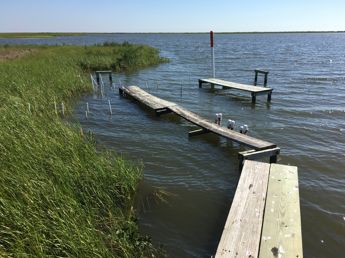 an image of wetlands along the gulf coast with some scientific instruments designed to measure wetlands loss