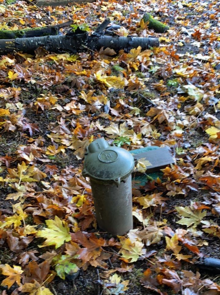Steele casing and wire proof well cap painted green jutting from the ground surrounded by fall leaves