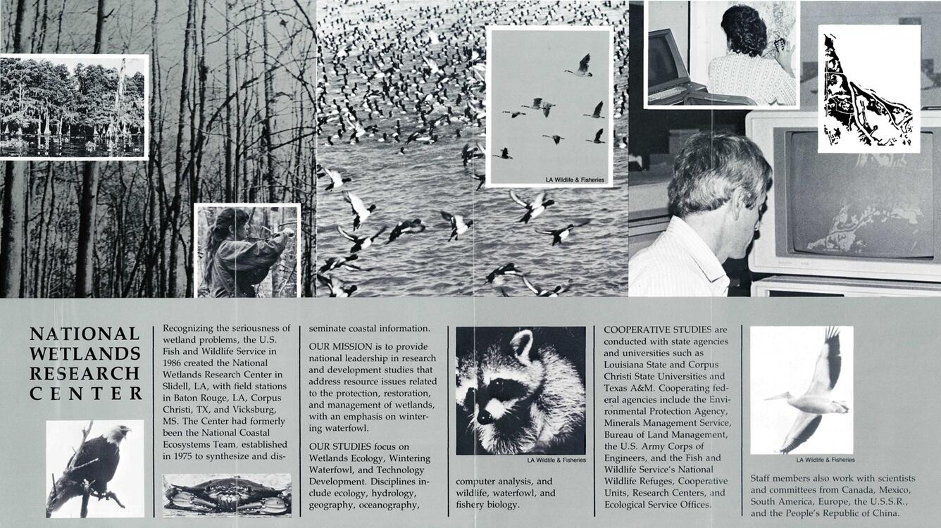 Image taken from 1980's brochure for the National Wetlands Research Center. Image shows a collage of wetlands, waterfowl, and a researcher sitting at a computer analyzing landcover