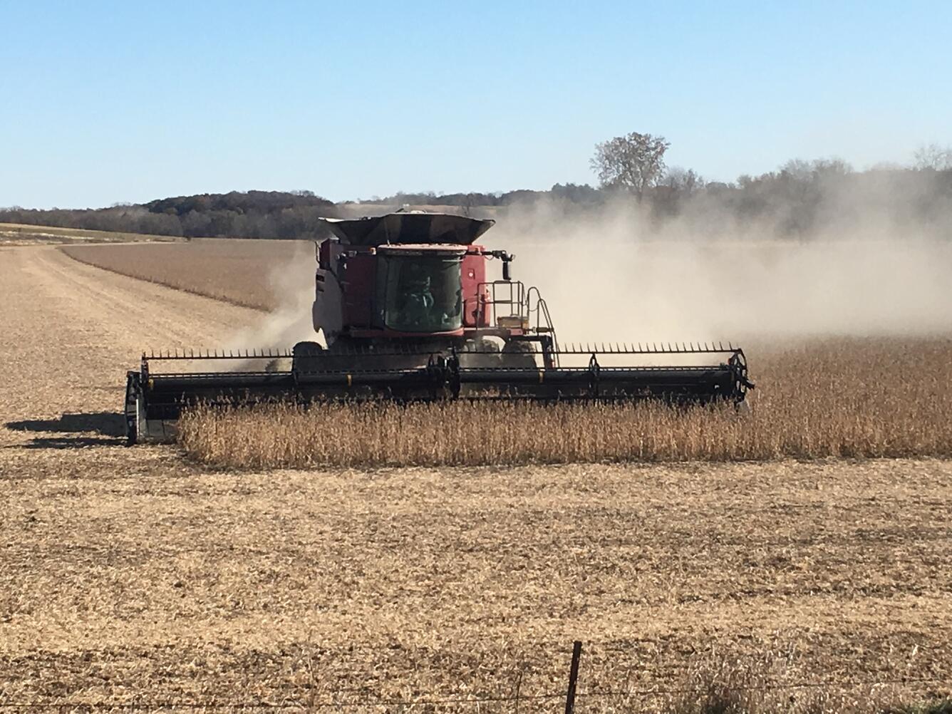 soybean harvest