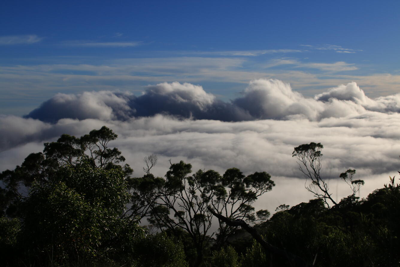Lanscape in Nakula, Maui