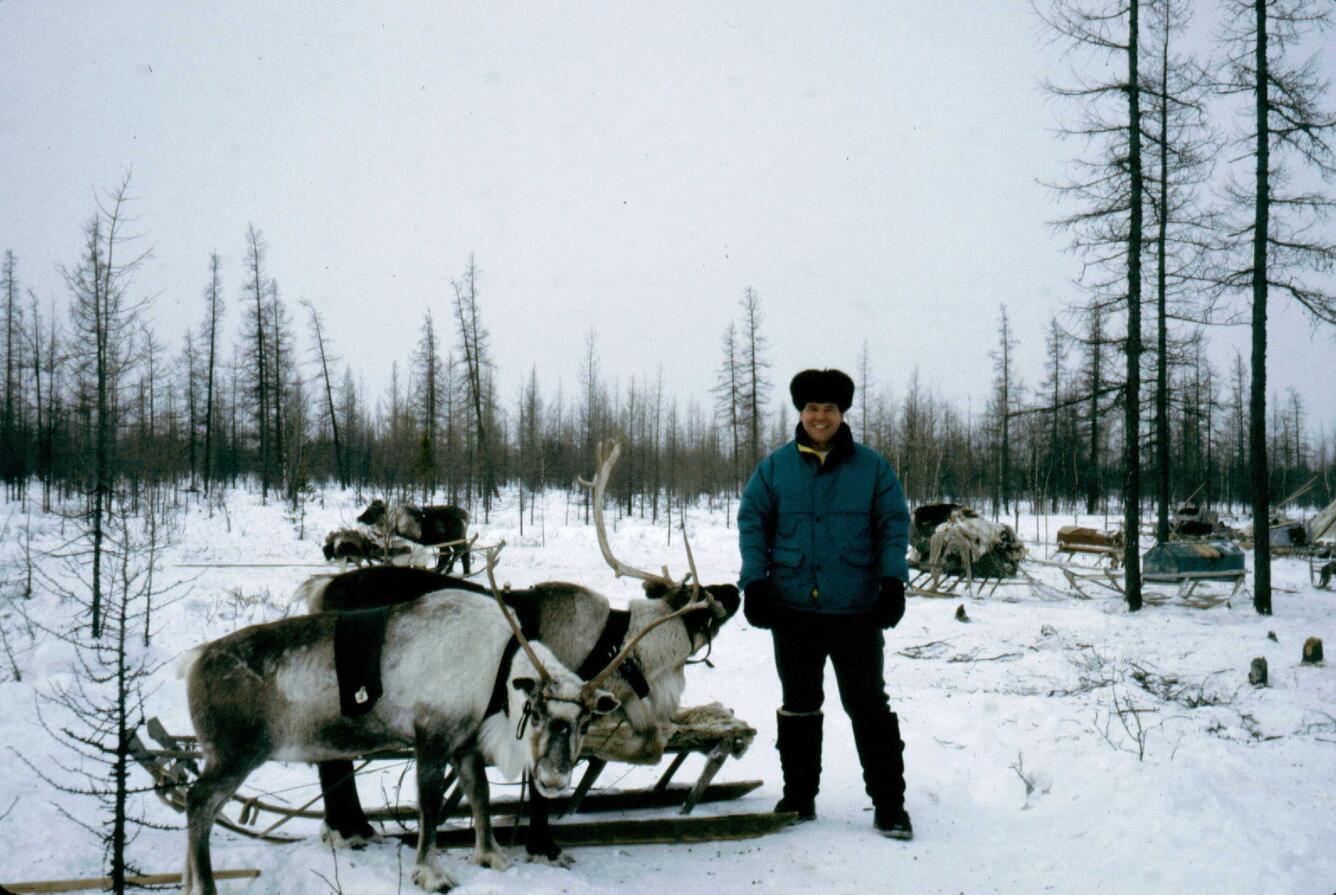 Man standing next to two reindeer in front of a snowy landscape with bare pine trees in the background
