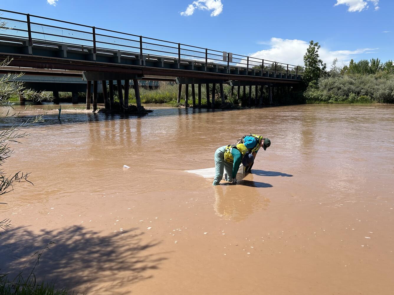 Two USGS employees stand in a slow-moving stream, collecting a surface water sample. 