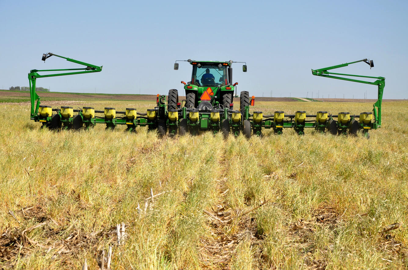 Planting in a field with a cover crop