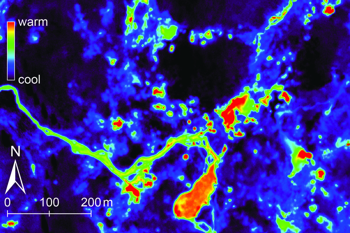 anastomosing patterns of color denote isolated hot springs and warm streams draining hydrothermal thermal features