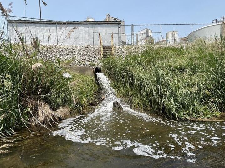 Treated wastewater from soybean processing facility discharged into adjacent stream